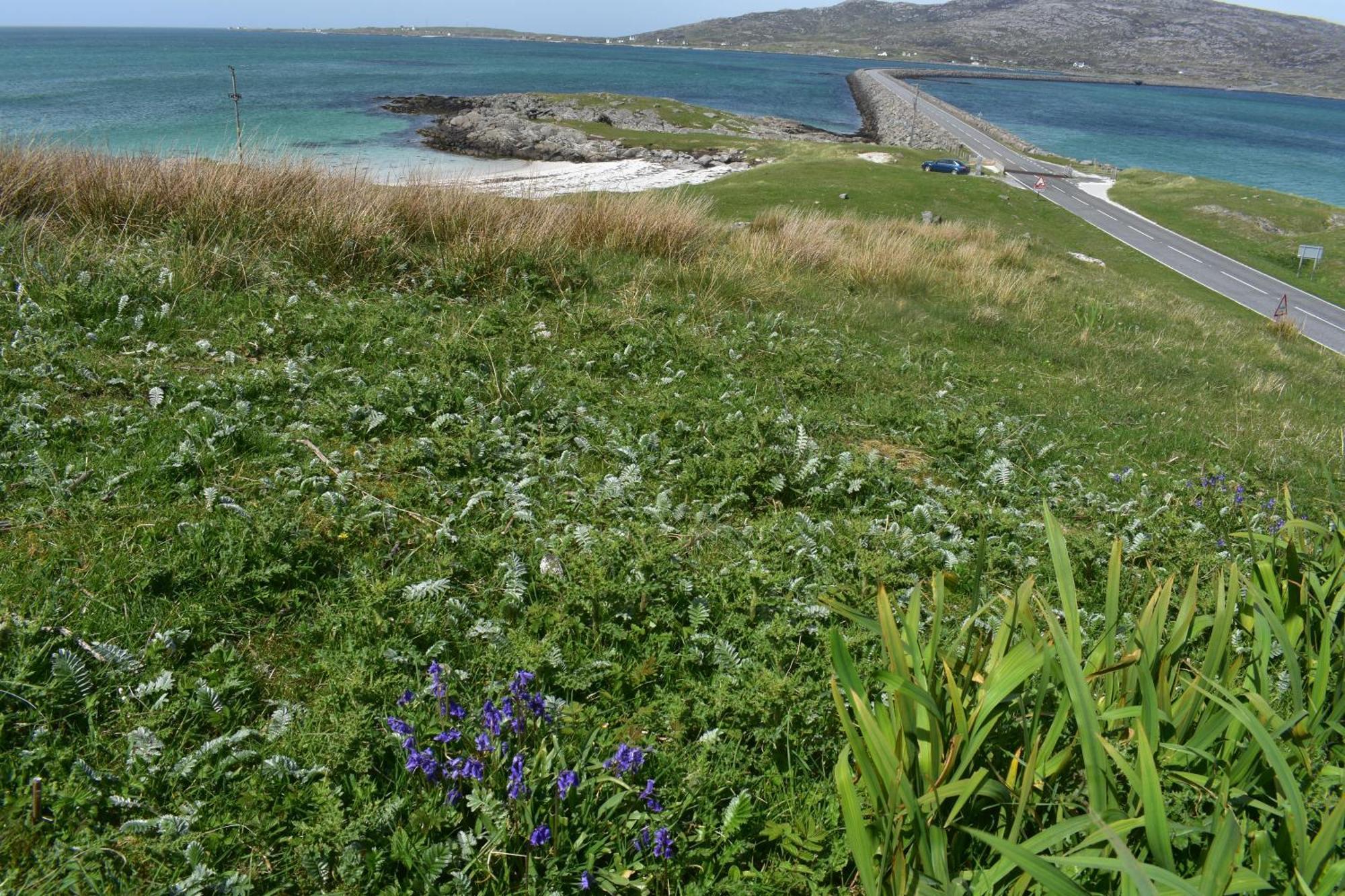 Вилла Glamping Pod For 2 Pod Beag Na Haun Eriskay Экстерьер фото